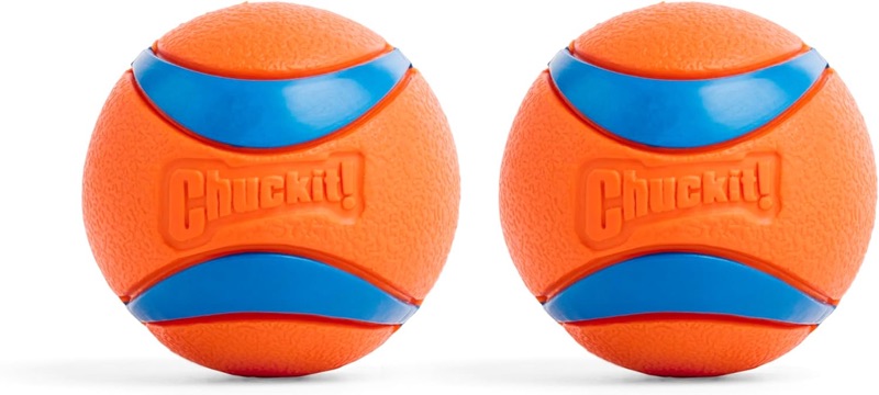 Chuckit! Ultra Ball.
